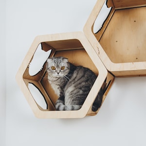 Cat Play Furniture, Cat Wall Hexagon Shelves Set, Cat Shelf, Wooden Cat Wall Furniture Set, Cat Bed, Pet Furniture,  Cat Furniture For Wall