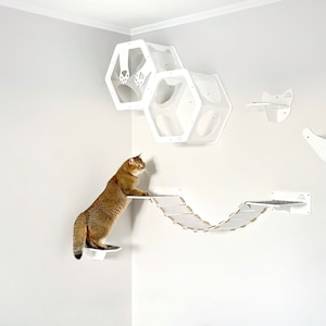 May include: A brown tabby cat is perched on a white cat tree with a rope bridge. The cat tree is mounted on a white wall and includes a variety of platforms and a hexagonal cat house.