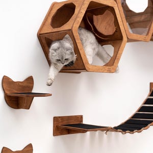 Wall shelves for cat, Cat shelves, Cat climbing wall shelf, Cat house wall, Cat shelves for wall, Modern cat furniture, Wood cat hexagon image 13