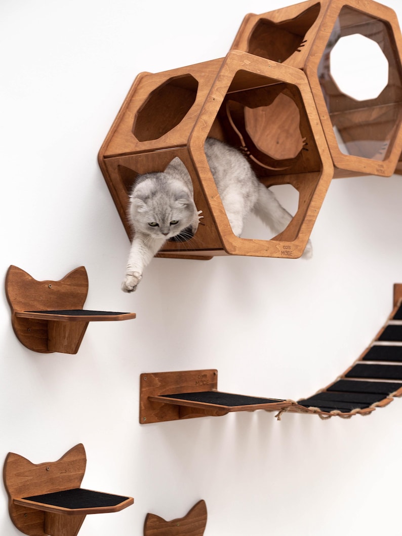 Wall shelves for cat, Cat shelves, Cat climbing wall shelf, Cat house wall, Cat shelves for wall, Modern cat furniture, Wood cat hexagon image 13