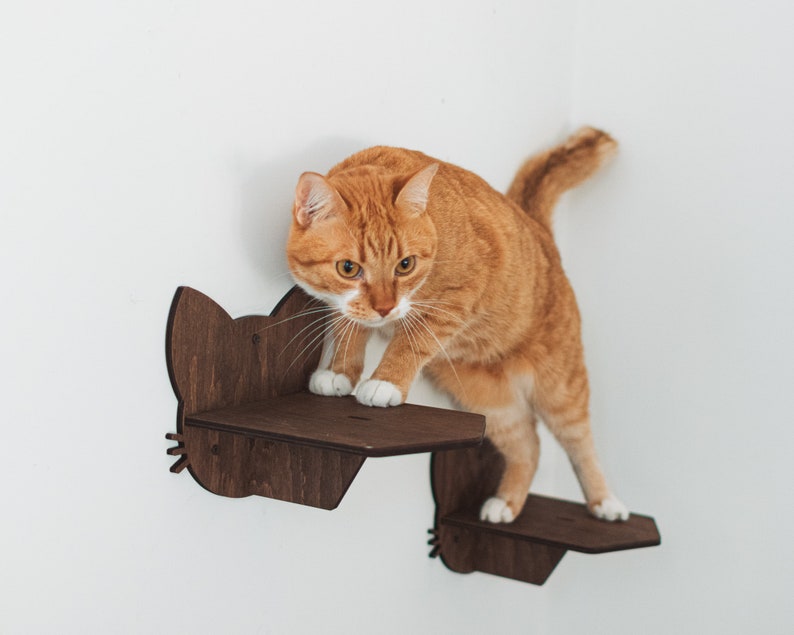 Cat Wall Furniture Gifts for Pets Cat Shelves Cat Steps Cat Climbing Wall Shelves Cat Walk Wall Cat Ladder for Wall Gift for Cats Catsmode image 3