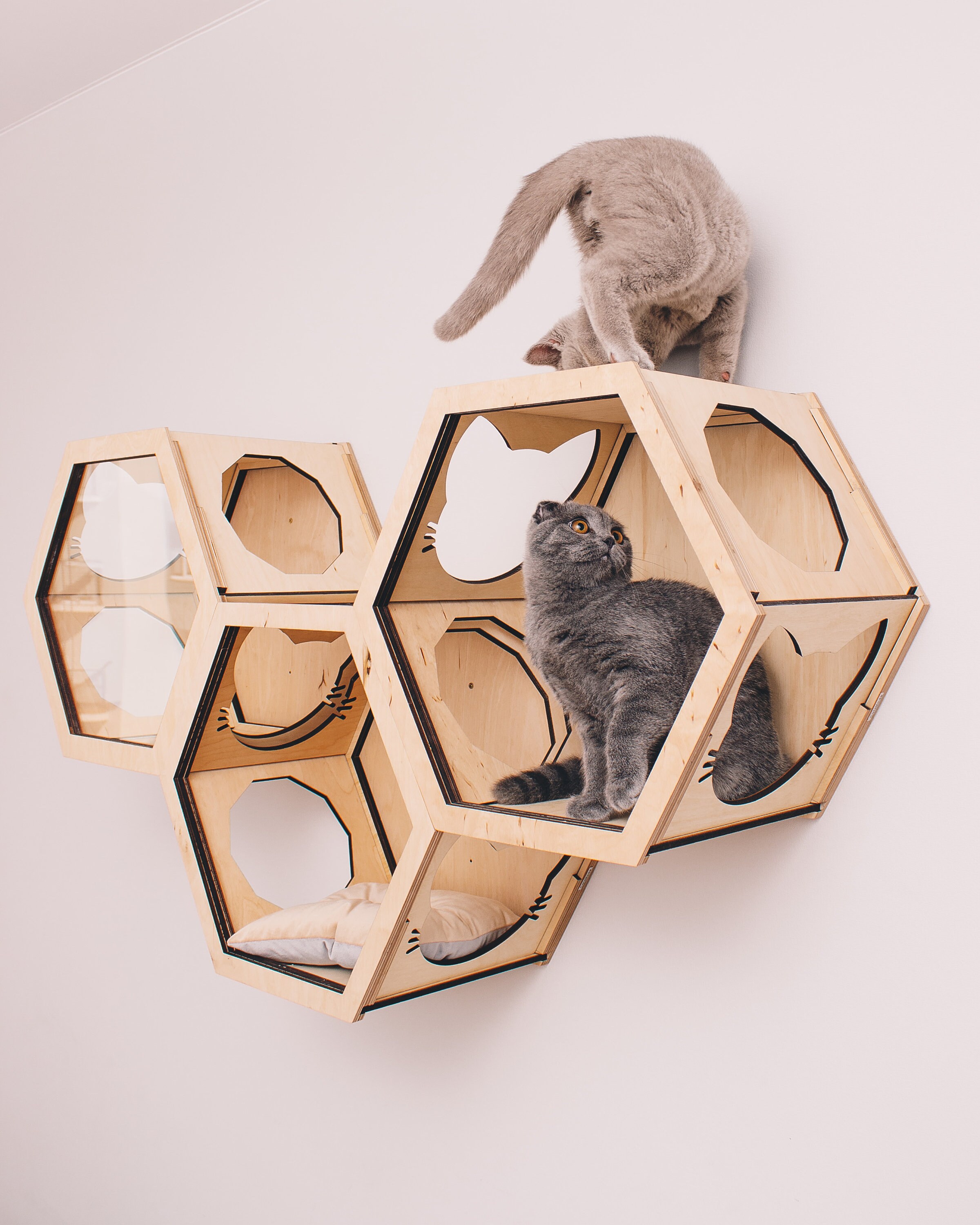 Wooden Cat Shelves for Wall Decor Cat Climbing Shelves Cat Etsy