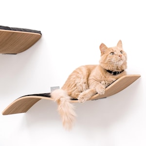 Può includere: Un gatto arancione chiaro con un collare nero è sdraiato su una mensola curva in legno per gatti. La mensola è montata su una parete bianca. Una seconda mensola simile è visibile sopra. Il gatto ha il pelo lungo e guarda in alto.