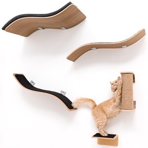 May include: A cat climbing structure with multiple wooden platforms and a scratching post. The platforms are curved and mounted on the wall. An orange cat is using the structure, reaching up to the scratching post.