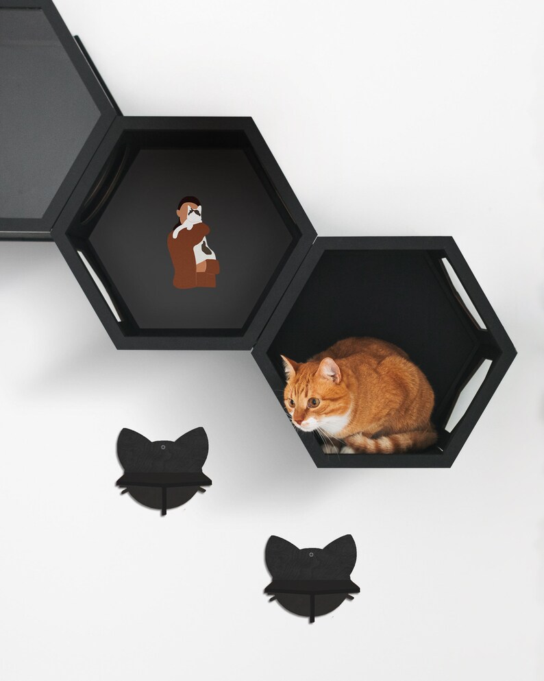 Moderne Katzenmöbel Katzen Wandregale mit 2 Katzenschritten - Il 794xN.3211209385 3nym