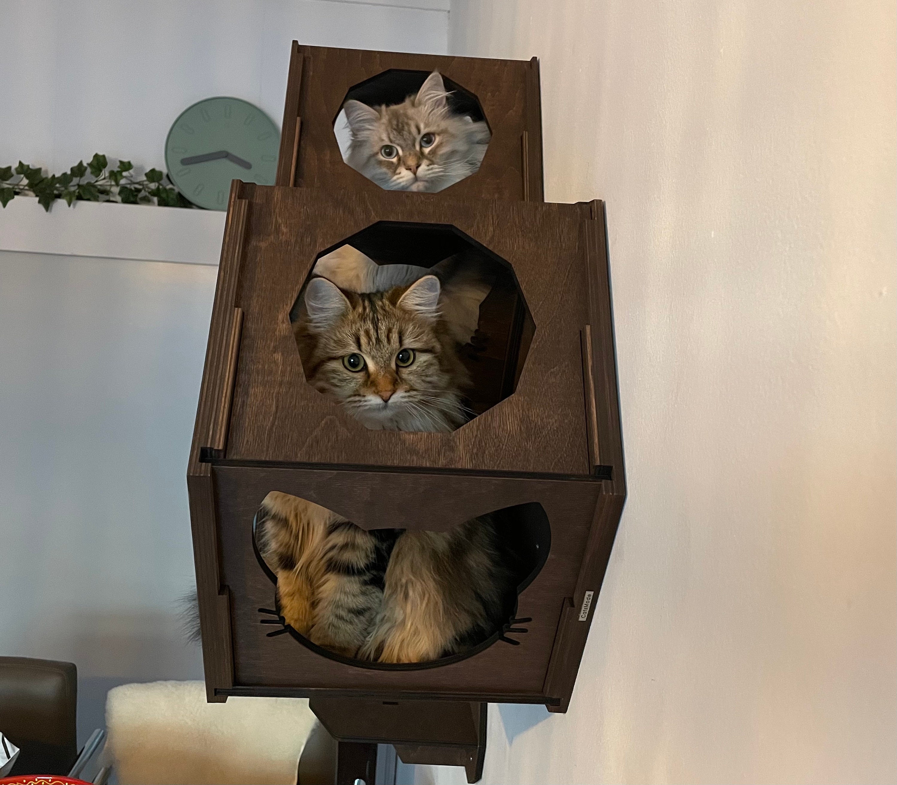 Cat wall furniture Cat shelves Cat wall house Cat lover gift Etsy