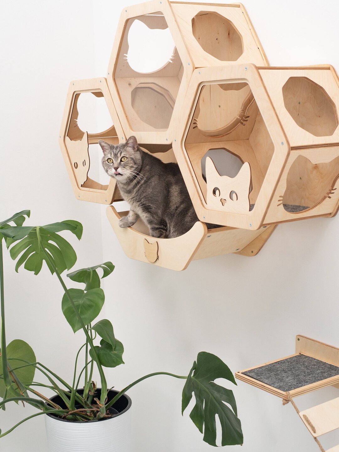 Modern Cat Wall Shelves Furniture, Cat Wall Bed, Wooden Cat Wall Furniture Set, Cat Wall Hexagon
