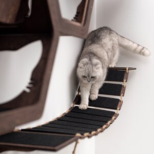May include: A gray cat walks across a wooden cat bridge with rope accents. The bridge is attached to a wall-mounted cat tree made of dark wood.