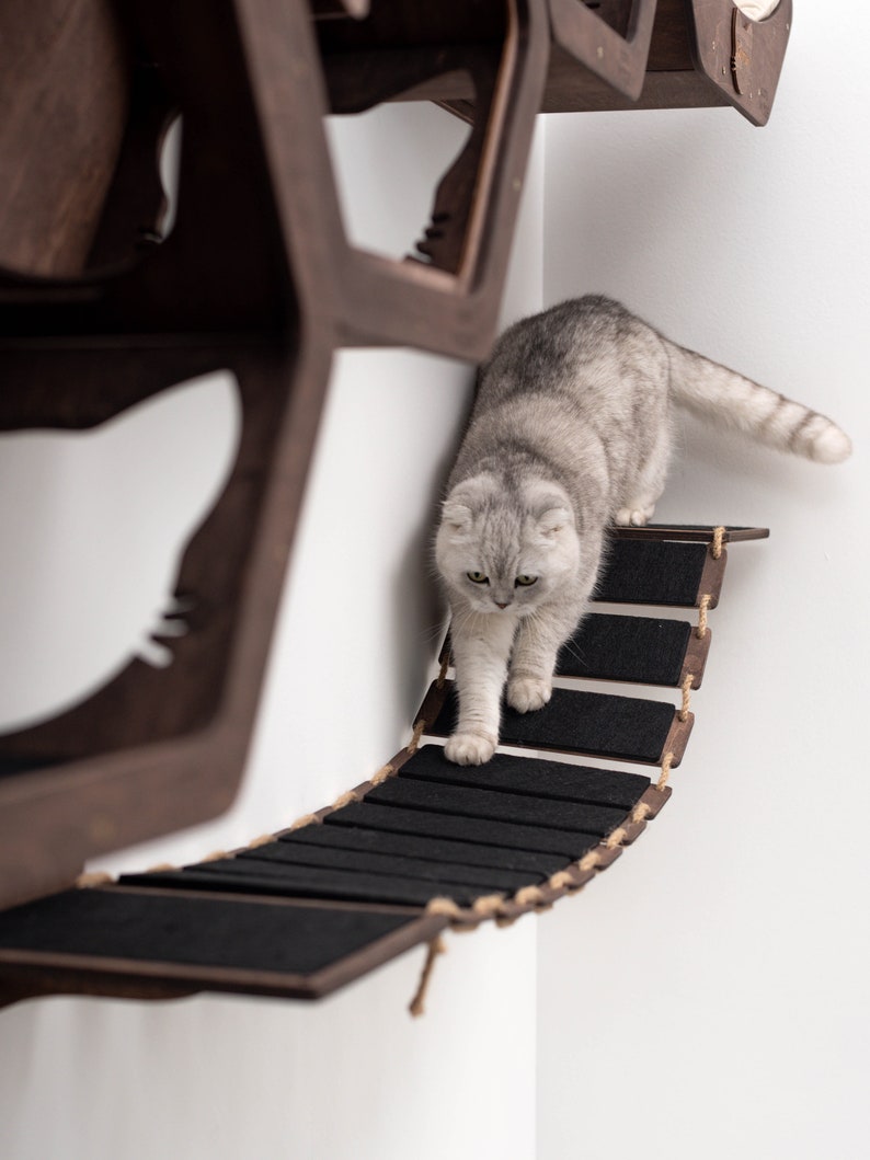 May include: A gray cat walks across a wooden cat bridge with rope accents. The bridge is attached to a wall-mounted cat tree made of dark wood.
