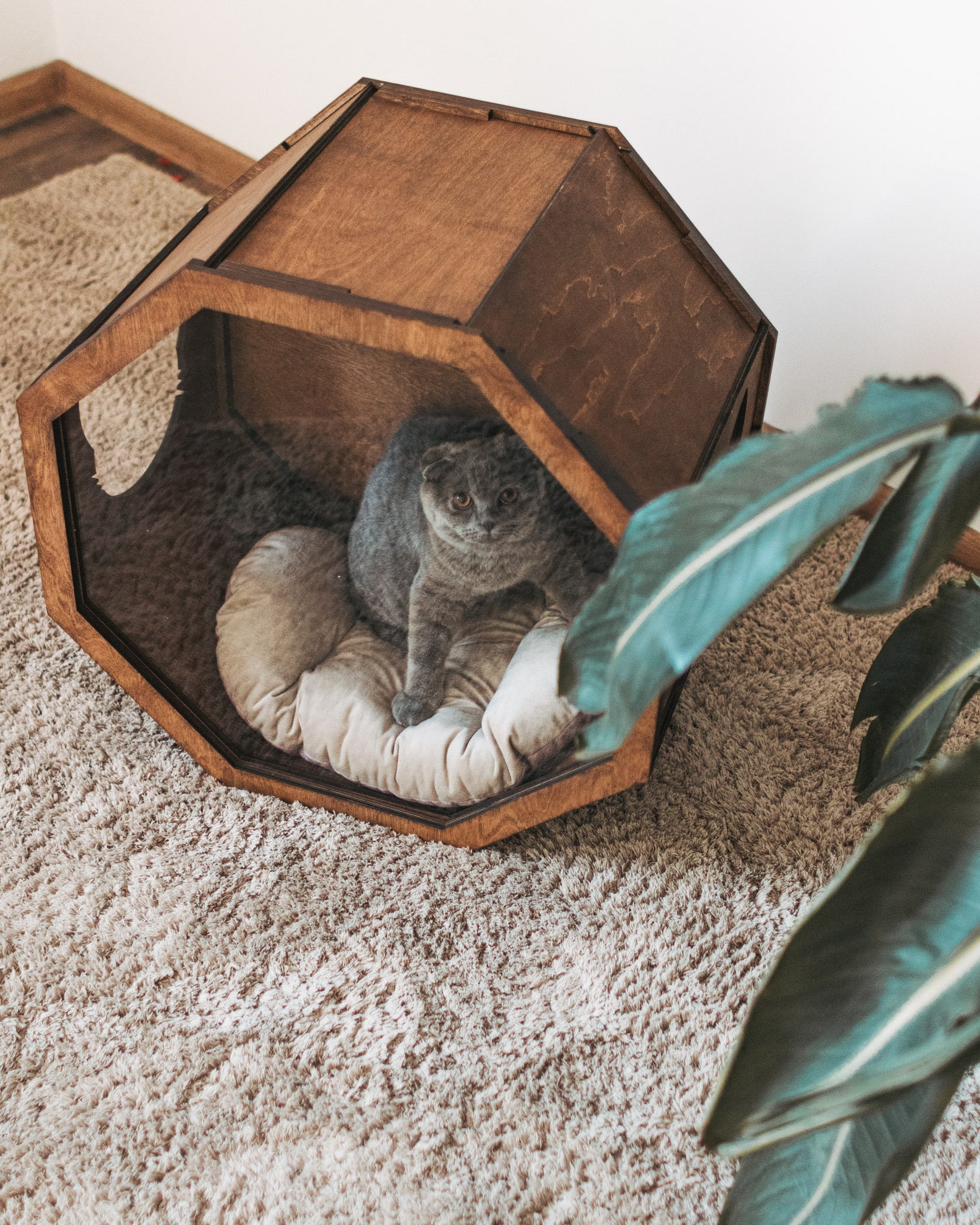 House for Cat Cat Furniture Indoor Cat House Wooden Decor Etsy House for Cat Cat Furniture Indoor Cat House Wooden Decor Etsy