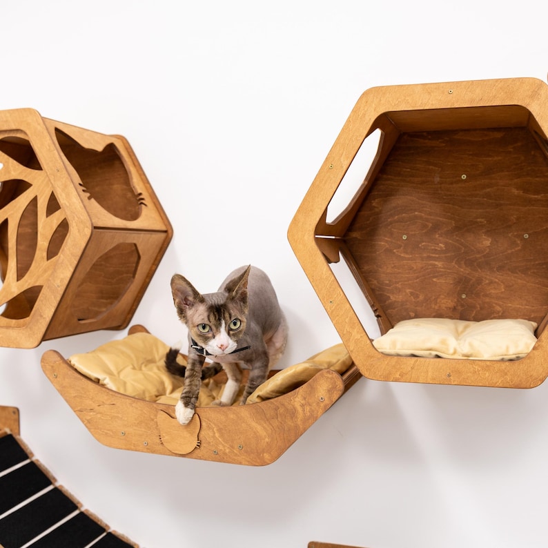 Wall Cat Bed, Cat Wall Furniture, Wall Cat Decor, Cat Lover Gift, New Home Gift, Cat Furniture, Cat Wall Play Furniture, Cat Basket image 11