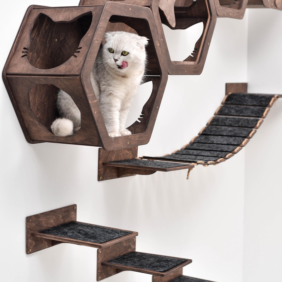 Floating Cat Shelves, Indoor Cat Wall Decor, Modern Cat Bridge, Cat Mom ...