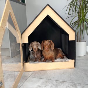 Modern Dog and Cat House with Acrylic Door, Extra Small Indoor Dog Kennel, Dog Crate Furniture, Indoor Dog House with Gate, Pet Furniture