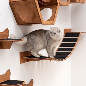 May include: A white cat with green eyes walks on a wooden cat tree with multiple platforms and a rope bridge. The cat tree is mounted on a white wall. The cat tree has a hexagonal shaped cat house with a cutout of a cat's face.