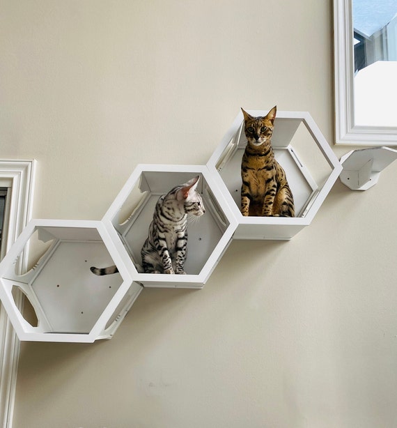 Wood Cat Shelves Wall Bed Toy Lover Gift Wood Cat Shelves Wall Bed, Wall Mounted Cat Furniture Nz