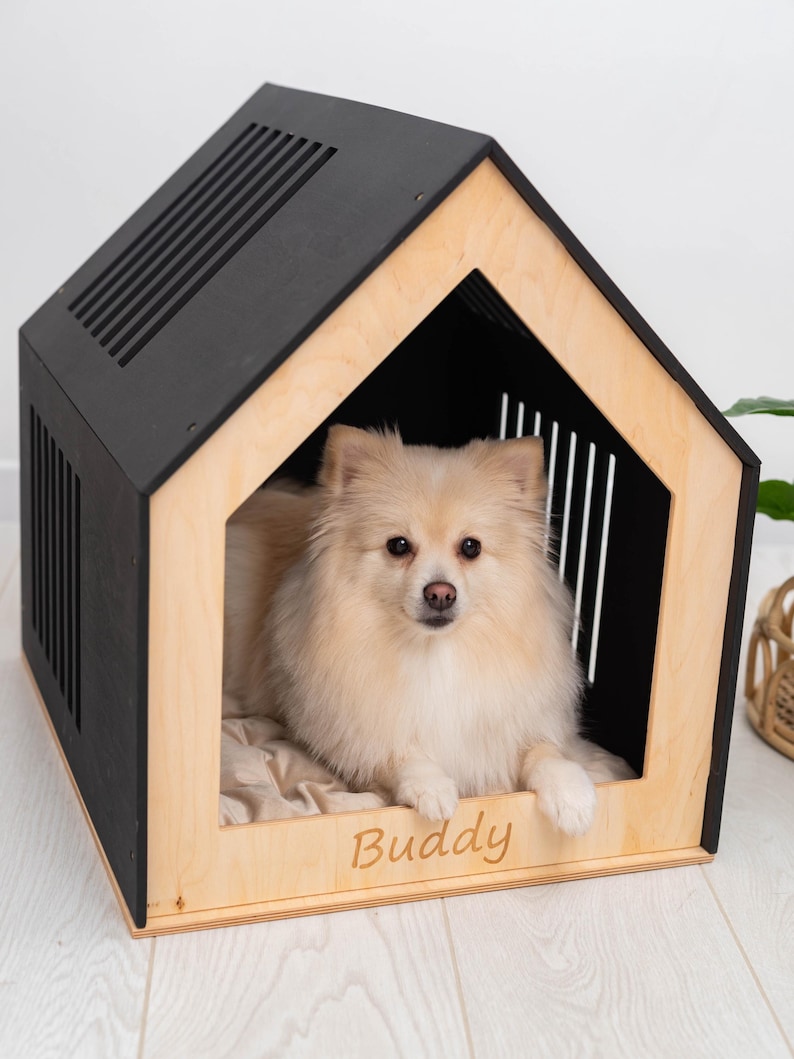 May include: A small, fluffy, cream-colored dog rests inside a wooden dog house. The house is black with a natural wood frame and the name "Buddy" is engraved on the front. The dog house has a slatted roof and side panels.