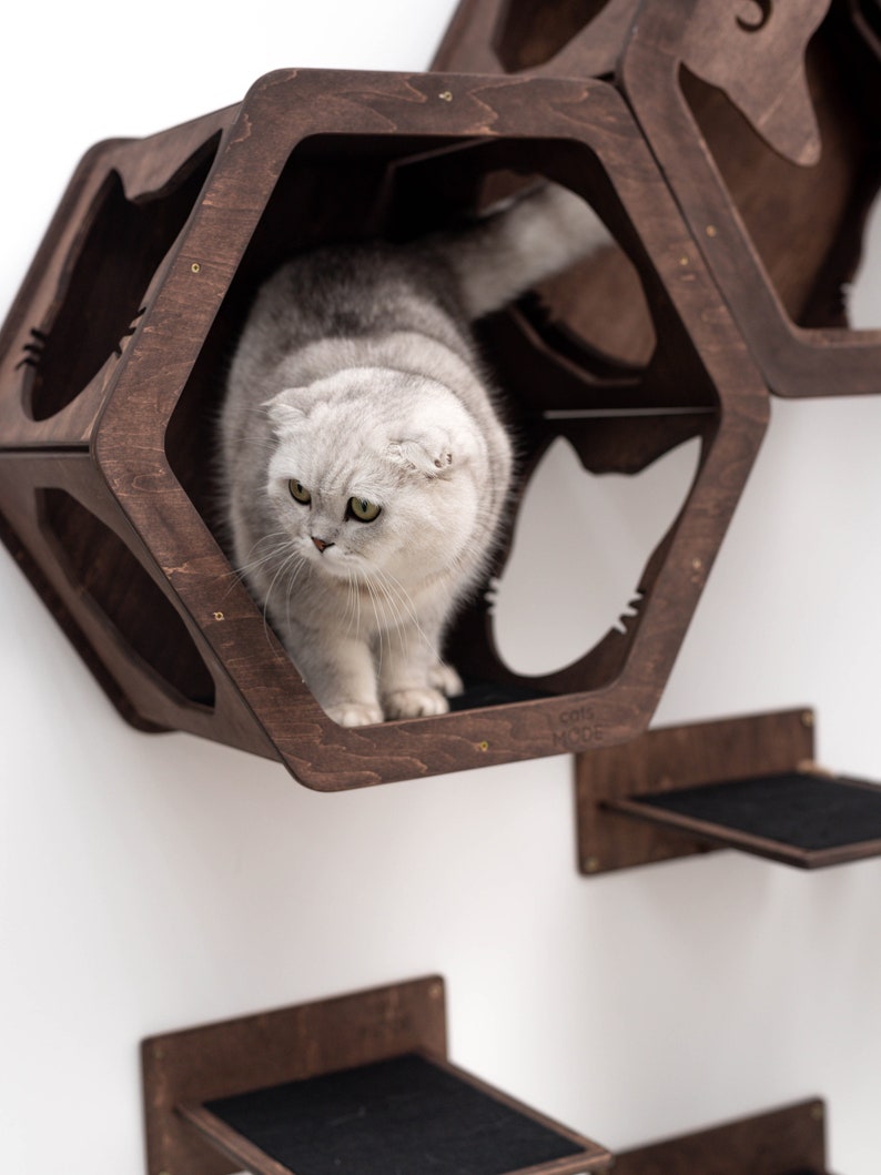 Cat Wall Furniture, Cat Wall Shelves, Cat Furniture, Cat Wall Sets, Wall Shelves for Cat, Design Hexagon for Cat, Big Cat Furniture zdjęcie 10