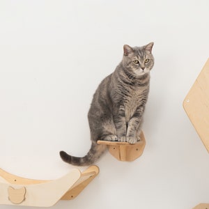 Wooden Cat Steps Set, Cat Wall Furniture Modern, Wall Mount Cat Stairs, Cat Shelf, Cat Ladder, Cat Walk Stairs, Kitten, Pet Owner Gift