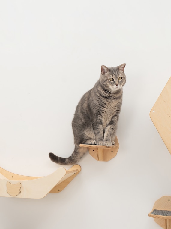 WOOWOOD Katzen-Kletterwand Katzentreppen 3er-Set für kleine und große Katzen, Katzentreppe für die Wand; Stabil; Aus Holz gefertigt; Rutschfest, 15 cm