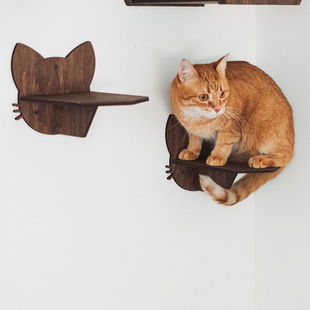 Cat Steps for Wall Wood Steps Cat Climbing Shelves Pet Etsy