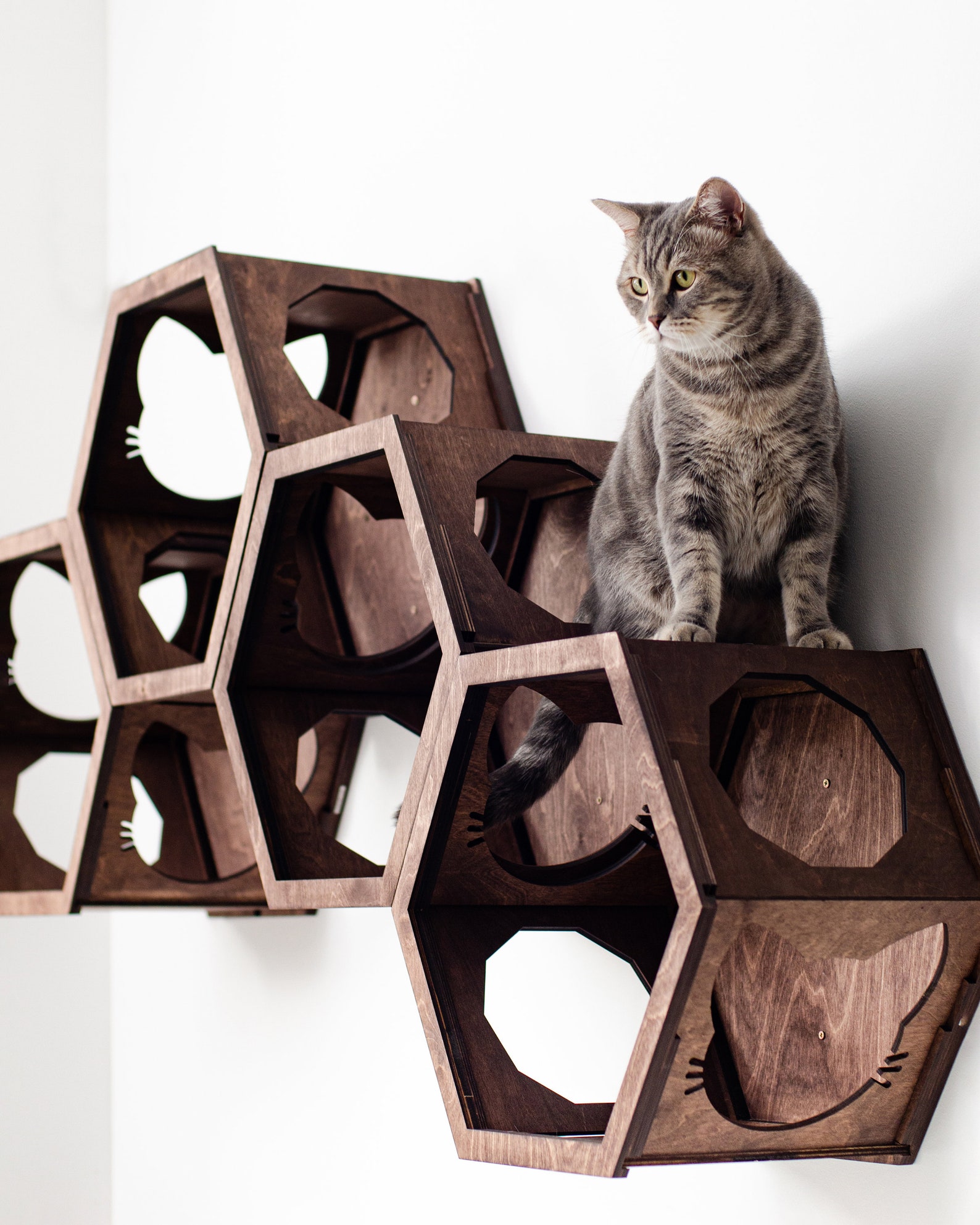 Cat Shelves and Perches for Wall Modern Cat Furniture Wood Etsy