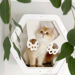 Cat wall shelves, Cat furniture, Cat bridge for wall, Cat hexagon shelves set, Cat shelf wall, Cat tree tower, Cat tree modern, Cat house
