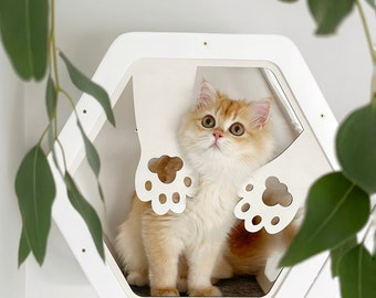 Estantes de pared para gatos, Muebles para gatos, Puente para