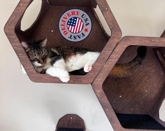 Cat Wall Furniture, Cat Shelves for Wall, Cat Climbing Wall Shelf, Cat Bed, Cat Climbing Shelf, Cat Wall Furniture, Modern Cat Furniture