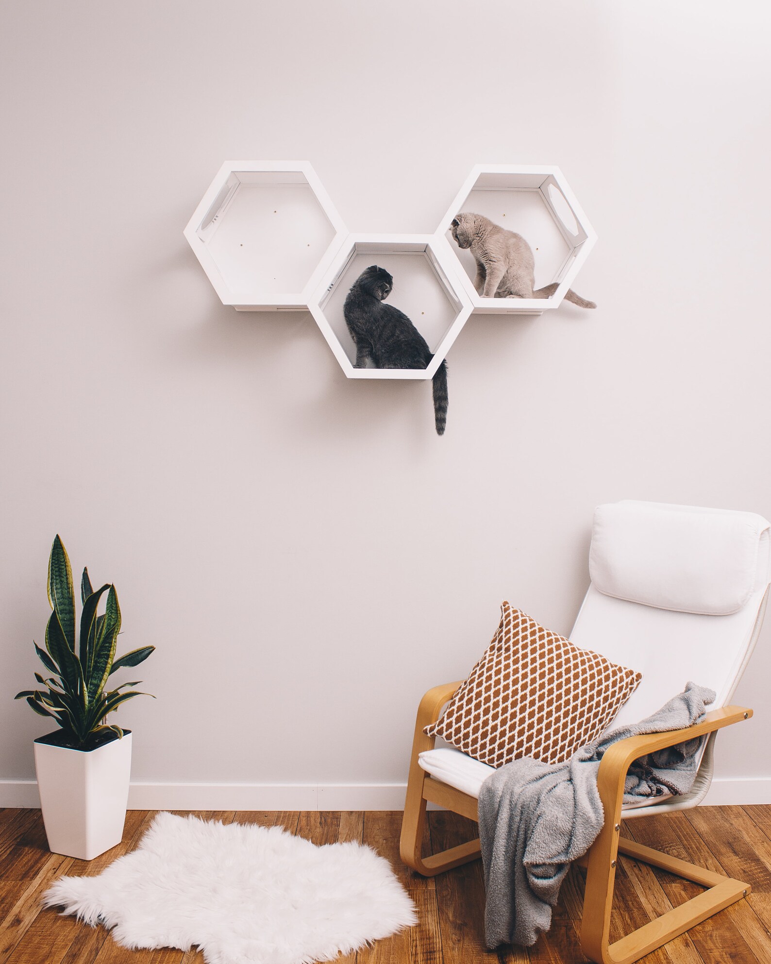 Wooden Cat Hexagon Luxury Cat Furniture Shelves for Cats Wall Etsy