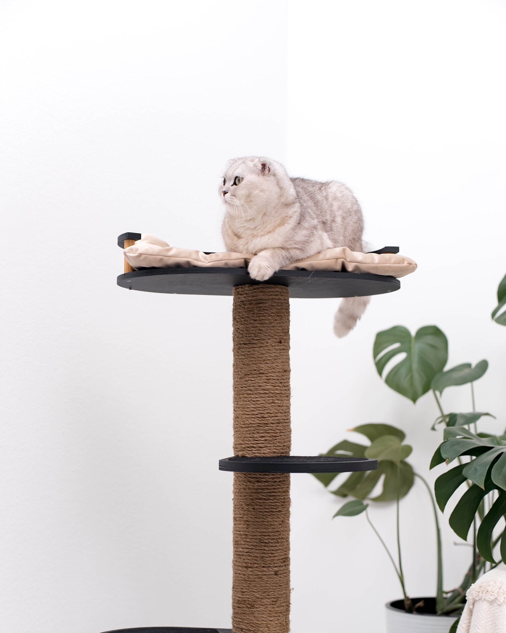 Outdoor Cat Tree Cat Tree for Large Cats Cat Climbing Tree Cat Tower for Large Cats Floor to Ceiling Cat Tower Cat Scratcher Cat Tower Etsy