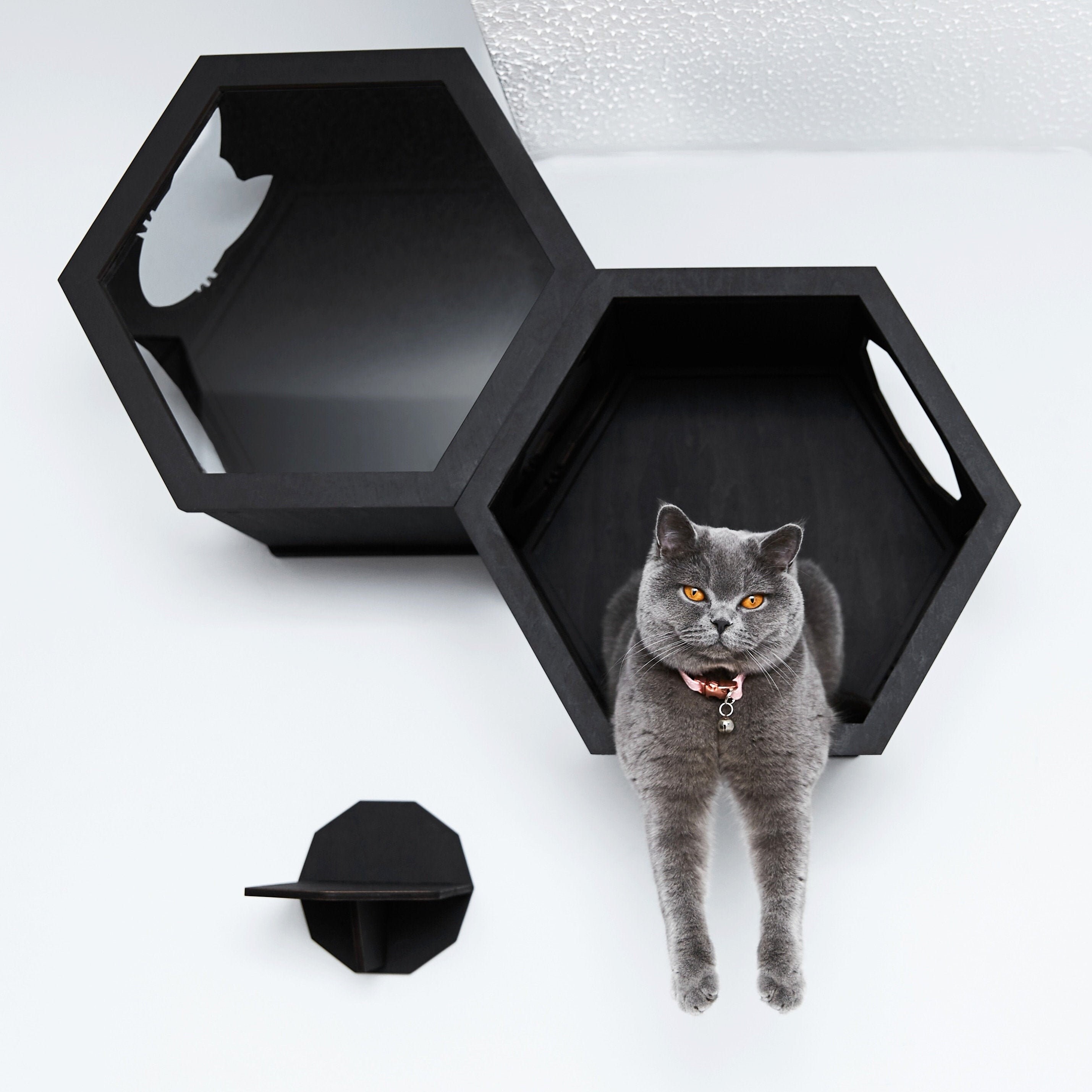 Cat Hexagon Shelves Modern Cat Furniture Wooden Wall Cat Perch Etsy