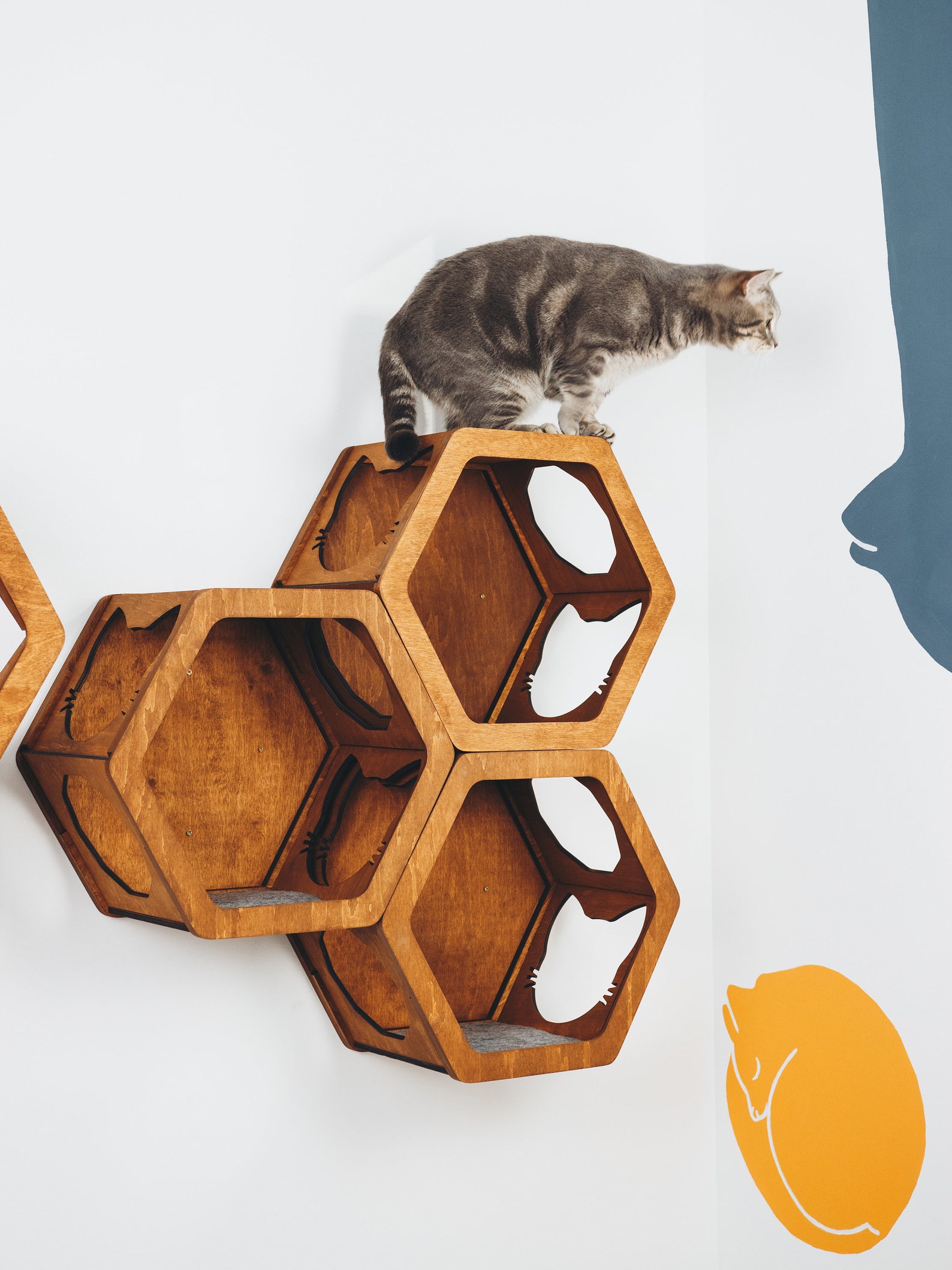 Cat Wall Hexagon Cat Shelves Wall Cat Bed Cat Furniture Etsy