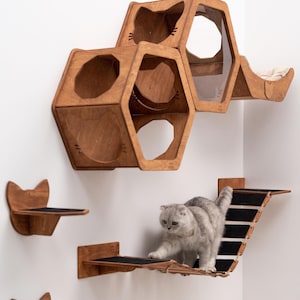 Wooden Cat Furniture, Cat Climbing Furniture, Wall Mounted Cat Shelves, Cat Perch Bed, Cat Hexagon Shelves, Cat Climb Shelf, Gift for Kitten