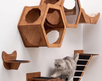 Mensola Da Parete Per Gatti In Cristallo - Espositore Decorativo Per Casa, Design Moderno E Funzionale - Foto 11