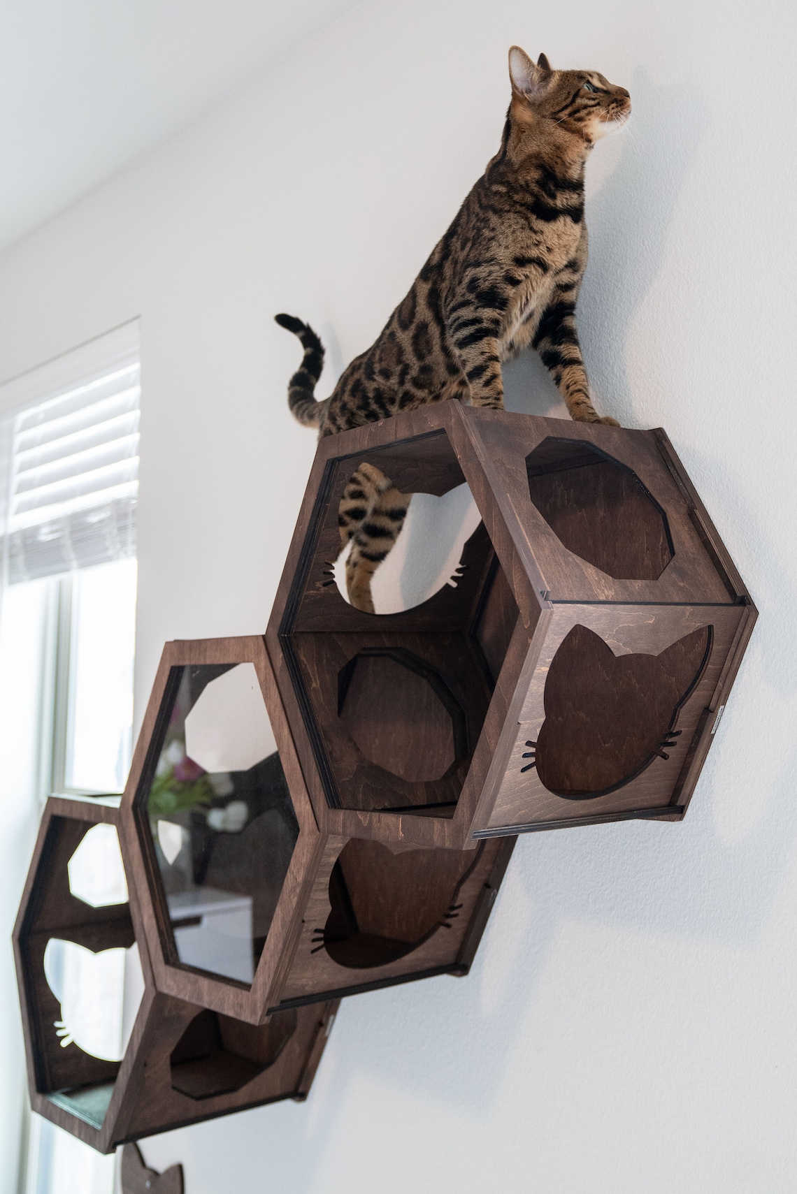 Cat Hexagon Shelves Wall Mount Cat Furniture Cat Shelf Wall Etsy