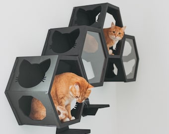 Geschenk für Katze, Katzen-Außenmöbel, Spielmöbel-Wandregale für Katze, Katzen-Sechseckmöbel, Katzen-Wandset, Katzen-Wandstufen, Katzenbrücke