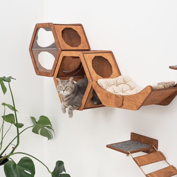 Wandplanken voor kat, kattenplanken, kattenklimwandplank, kattenhuismuur, kattenplanken voor muur, modern kattenmeubilair, houten kat zeshoek