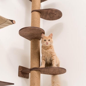 Op de afbeelding: Een bruine houten kattenboom met een krabpaal en meerdere platforms. Een gemberkat zit op een van de platforms.