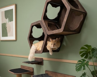 Estantes de pared para gatos, árbol para gatos ecológico, hamaca, escalones, rascador, estantes de pared modernos para gatos activos, área de juegos para mascotas en interiores