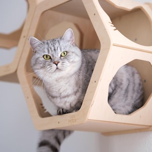 Wall shelves for cat, Cat shelves, Cat climbing wall shelf, Cat house wall, Cat shelves for wall, Modern cat furniture, Wood cat hexagon image 8