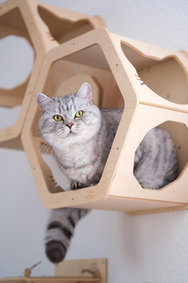 Wall shelves for cat, Cat shelves, Cat climbing wall shelf, Cat house wall, Cat shelves for wall, Modern cat furniture, Wood cat hexagon image 8
