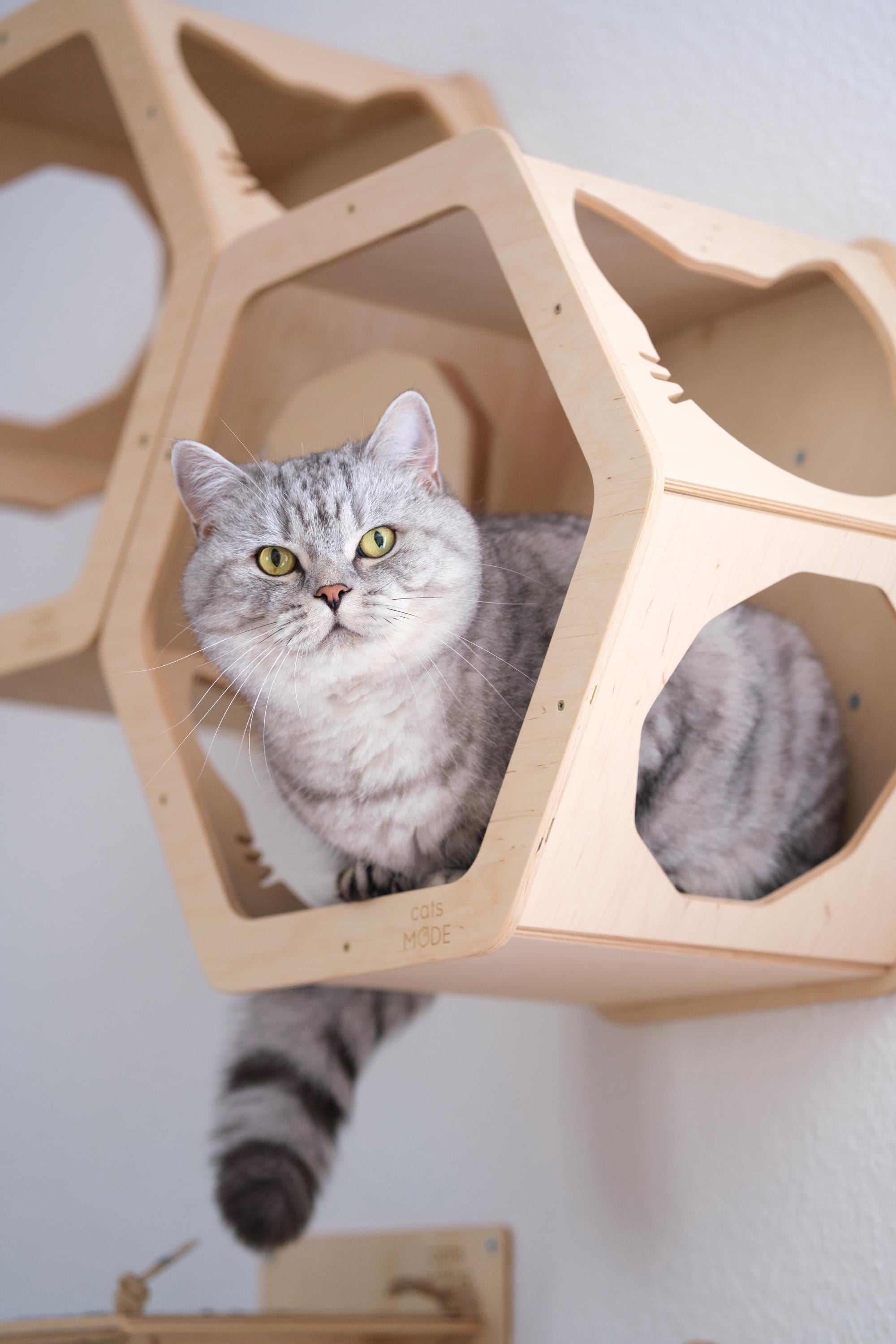 Estanterias Para Gatos Miuzmore Muebles De Pared Para Gatos, Juego