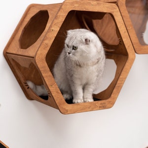 May include: A white cat sits in a wooden hexagonal cat condo with a cutout of a cat's face. The condo is mounted on a white wall. The text "cats mode" is printed on the bottom of the condo.