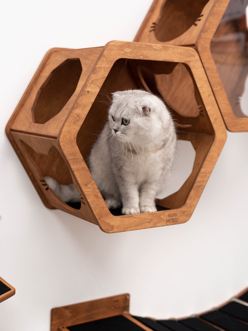 May include: A white cat sits in a wooden hexagonal cat condo with a cutout of a cat's face. The condo is mounted on a white wall. The text "cats mode" is printed on the bottom of the condo.