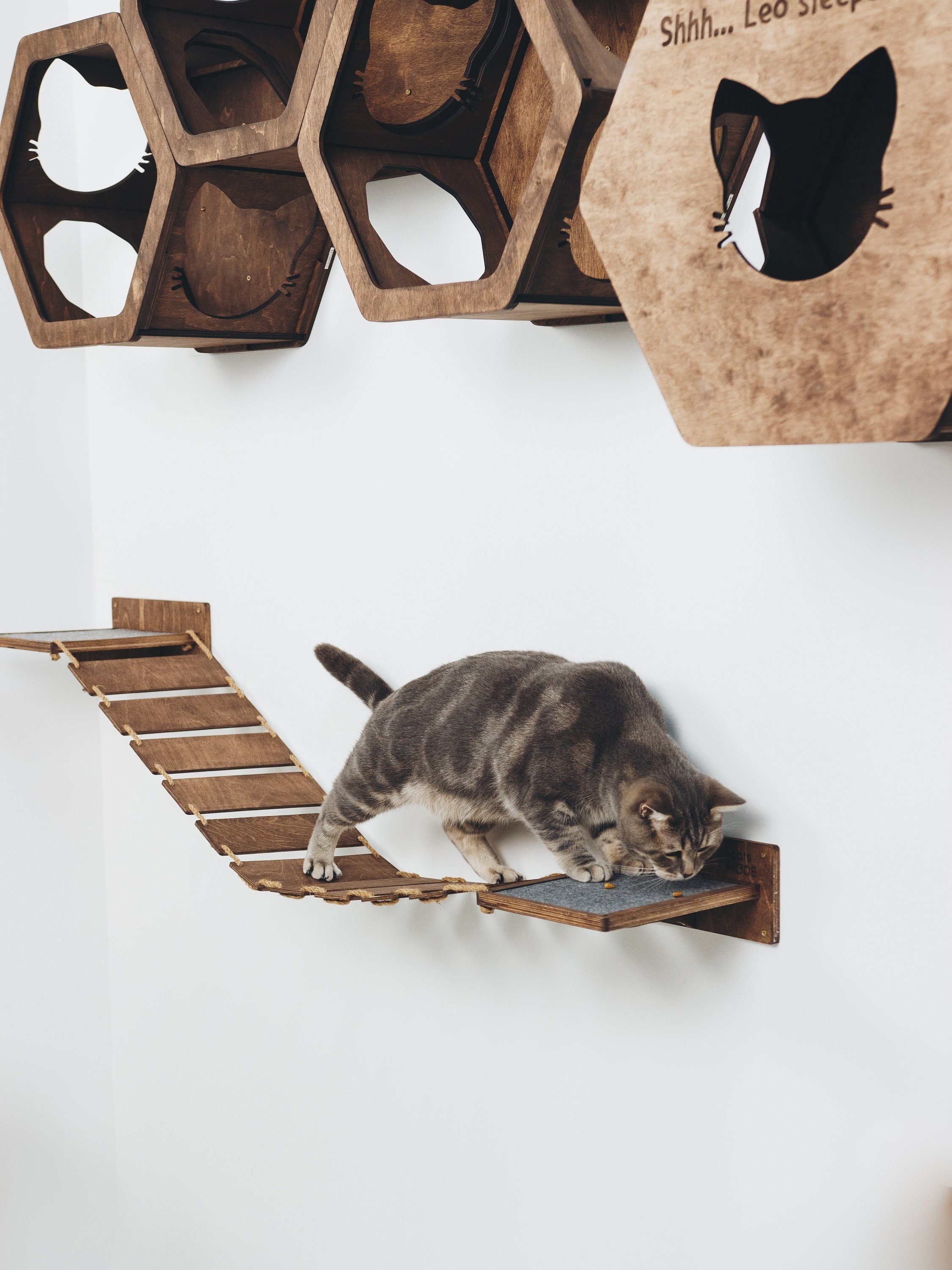 etsy cat bridge