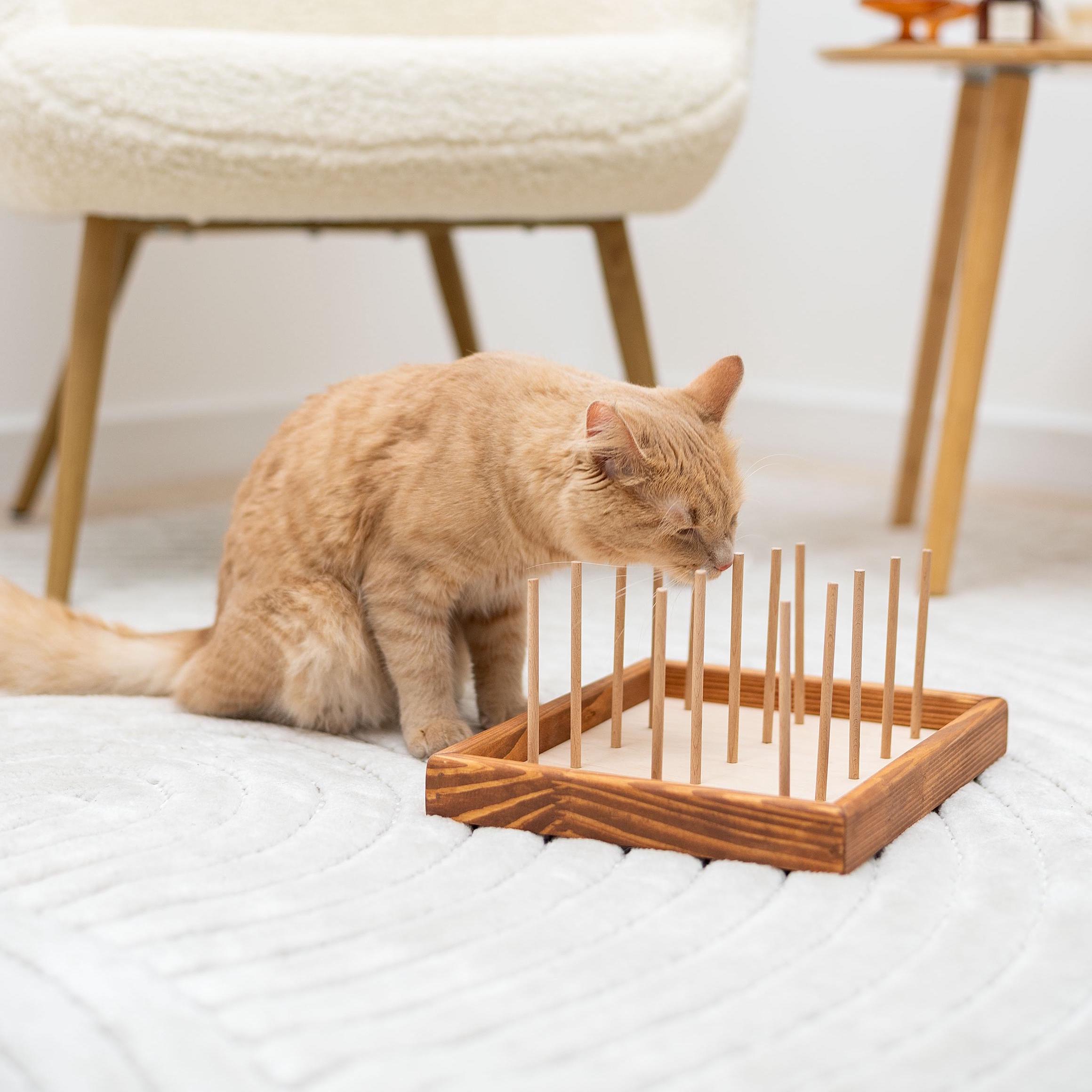 Bitey Resistant Cat Toy, Cat Chew Board, Kitten Chewing Toys Eco