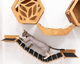 Muebles de pared para gatos, estanterías hexagonales, caseta para gatos, cama flotante con almohada, percha, zona de juegos para gatos, estantería moderna para gatos