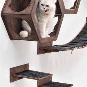 May include: A cat perched inside a dark brown, hexagonal cat house with a cat face cutout. The cat is light gray with green eyes and is licking its lips. Additional dark brown cat shelves and a rope bridge are mounted on the white wall.