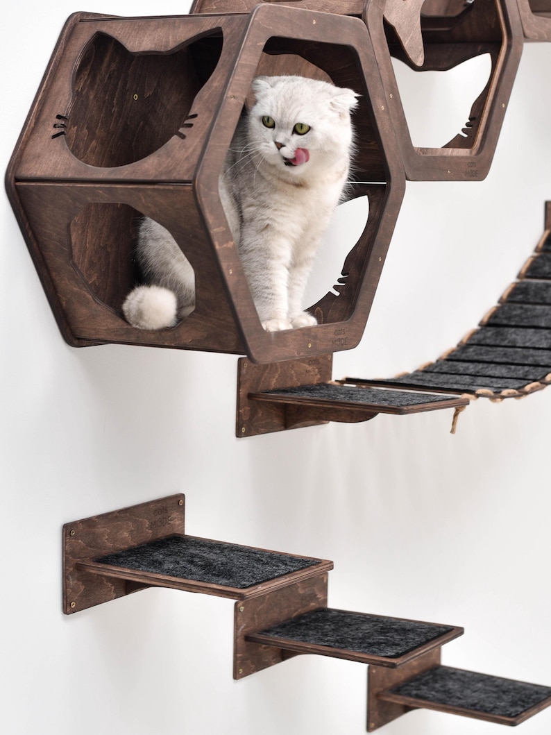 May include: A cat perched inside a dark brown, hexagonal cat house with a cat face cutout. The cat is light gray with green eyes and is licking its lips. Additional dark brown cat shelves and a rope bridge are mounted on the white wall.