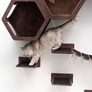 May include: A cat climbing a wooden cat tree with multiple levels and a rope bridge. The cat tree is mounted on a white wall. The cat tree has a hexagonal shaped cat house with the text "cats mode" on the side.